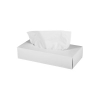 Facial Tissue – Plain box (100pcs/box) 白盒裝面紙 (100抽)